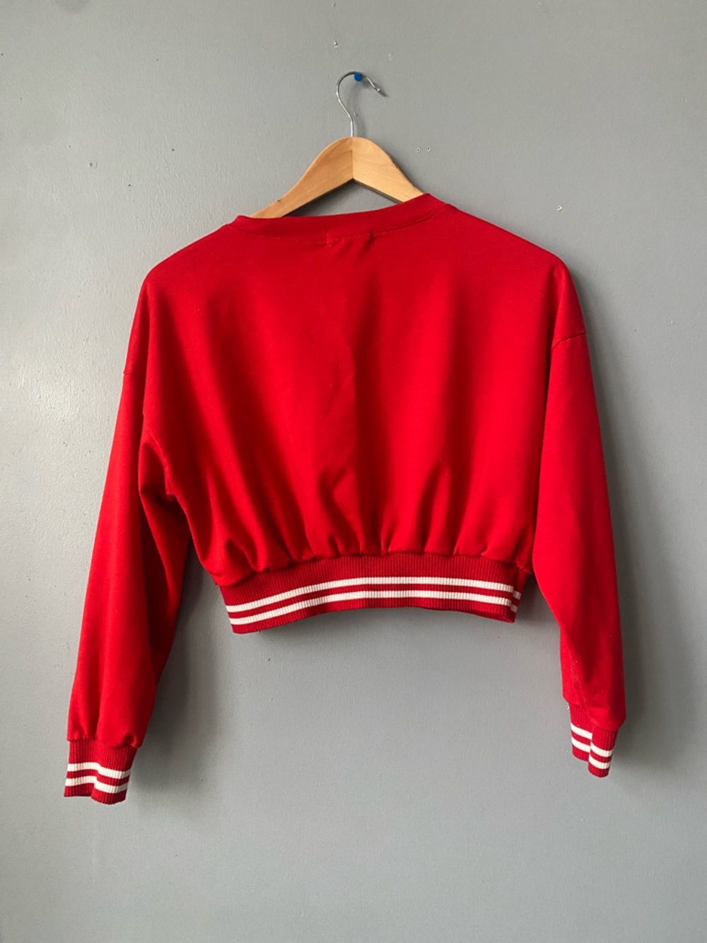 Red V-Neck Cropped Sweatshirt with Striped Hem - Picture 4 of 5